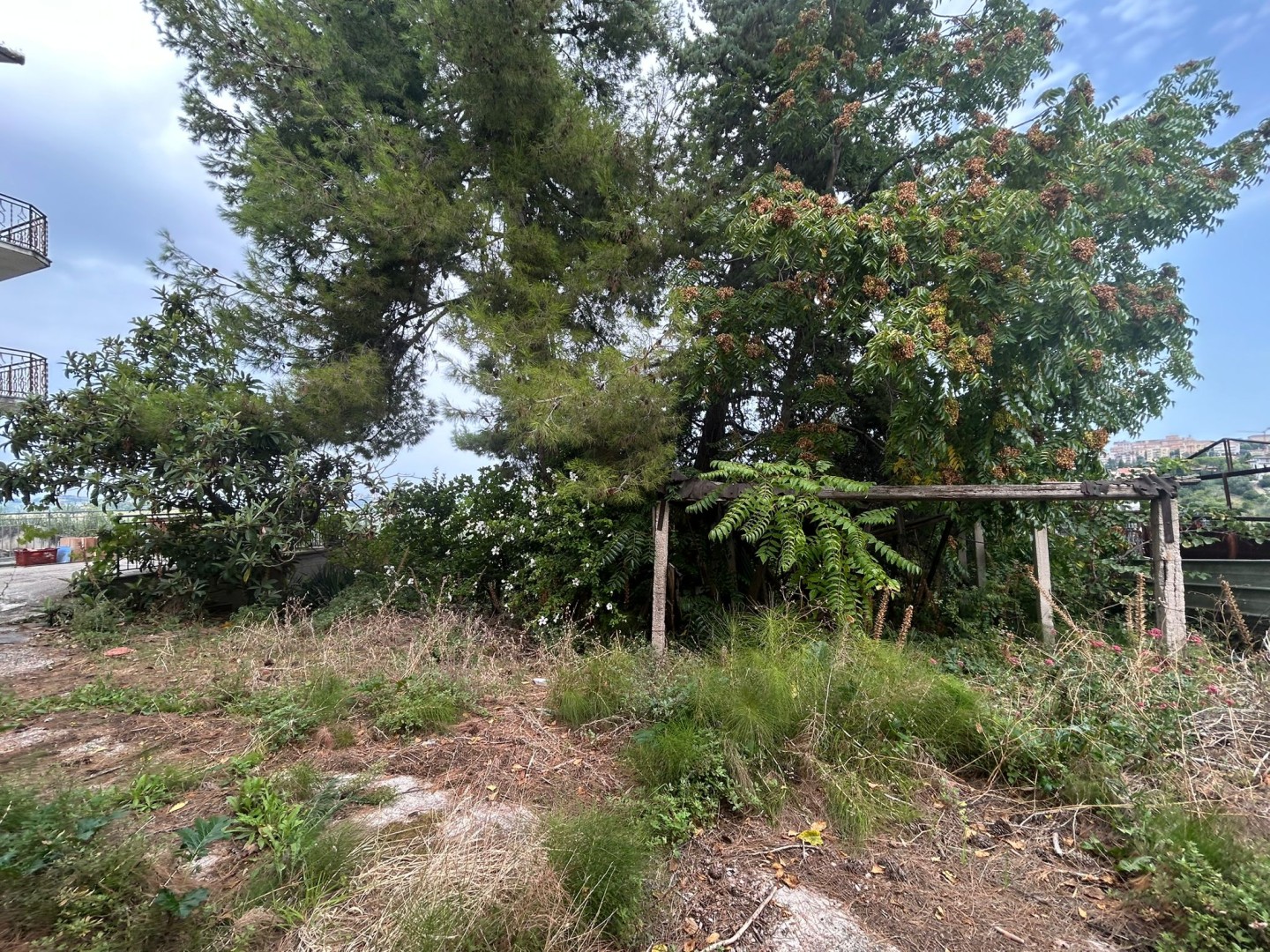 Anteprima immagine 6