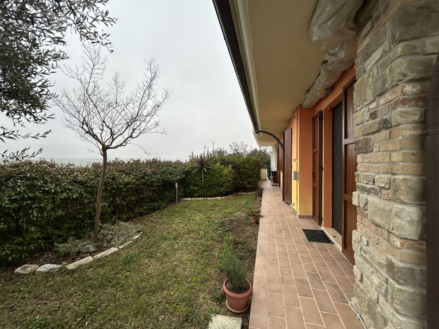 Anteprima immagine 5