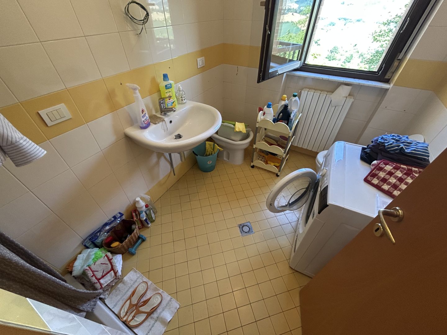 Anteprima immagine 5
