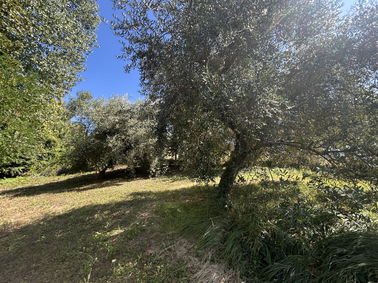 Anteprima immagine 9