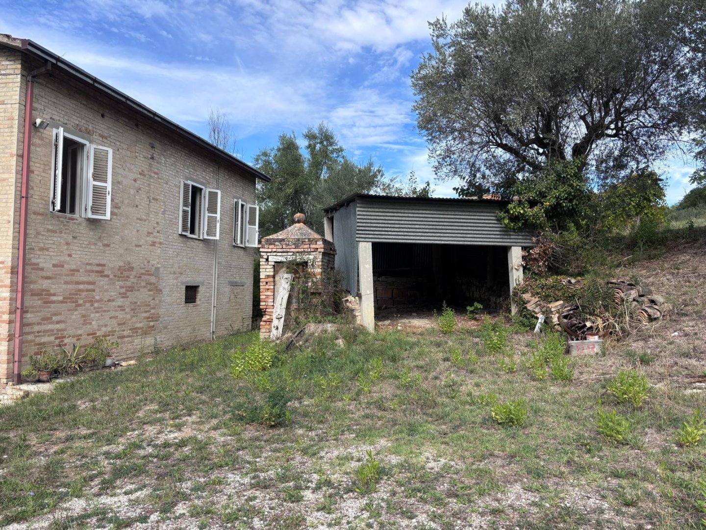 Anteprima immagine 3
