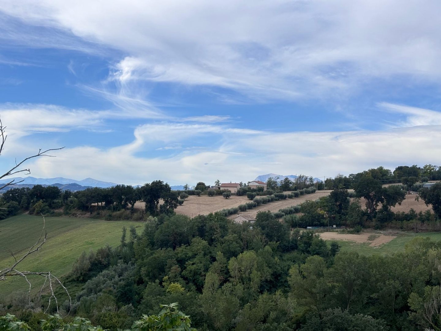 Anteprima immagine 4